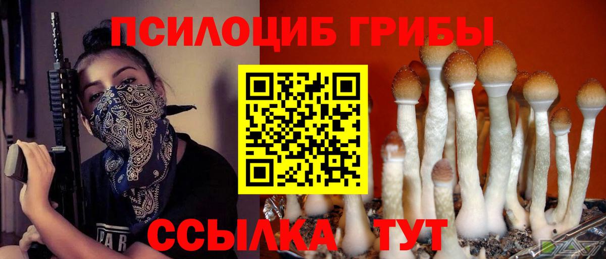 Менделеевск  Галлюциногенные грибы ЛСД  Вход с VPN 
