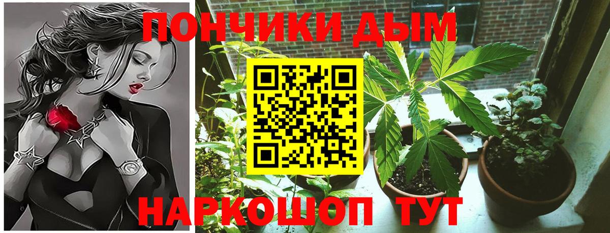 Бошки марихуана Amnesia  Вход с VPN  Менделеевск  Конопля сатива  МАРИХУАНА семена 